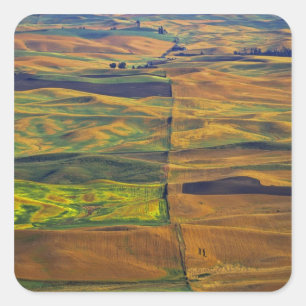 Pegatina Cuadrada El Palouse desde Steptoe Butte, Colfax,