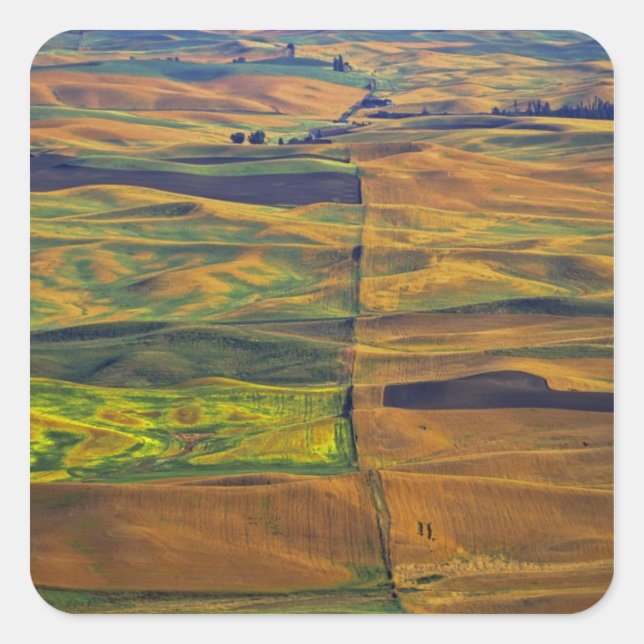 Pegatina Cuadrada El Palouse desde Steptoe Butte, Colfax, (Anverso)