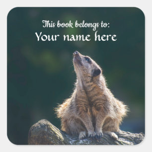 Pegatina Cuadrada El pequeño Meerkat "Este libro le pertenece" pegat