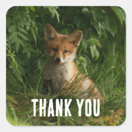 Pegatina Cuadrada El pequeño zorro en un bosque verde gracias