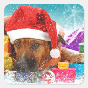 Pegatina Cuadrada El perro está esperando a los Navidades