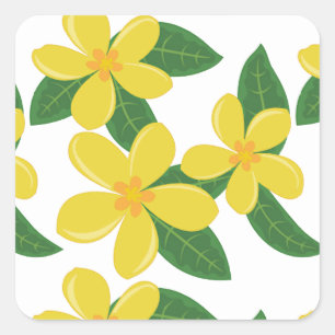 Pegatina Cuadrada El Plumeria florece AMARILLO en BLANCO