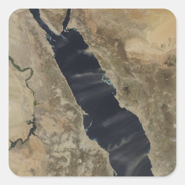 Pegatina Cuadrada El polvo se cierne sobre el Mar Rojo (Anverso)