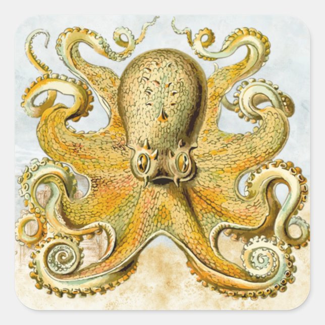 Pegatina Cuadrada El pulpo náutico pintado Kraken Squid (Anverso)