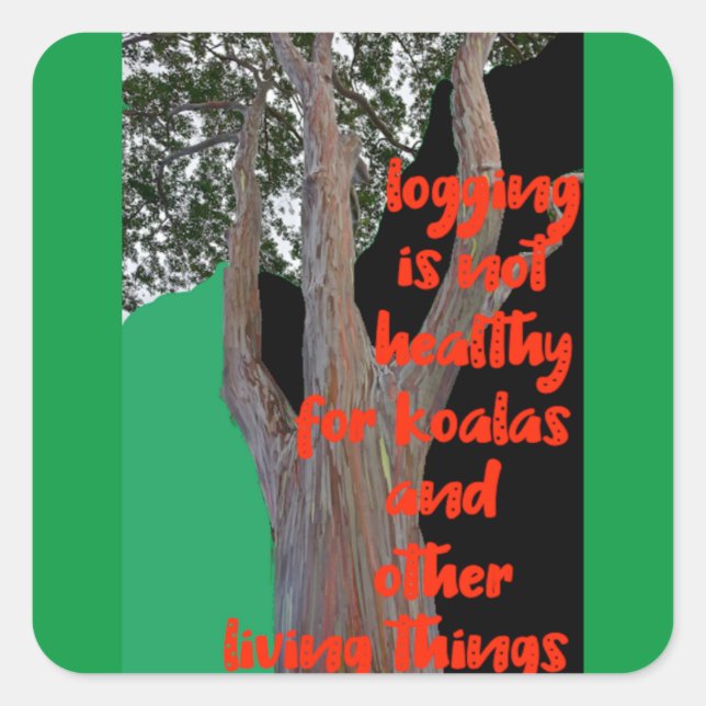 Pegatina Cuadrada El registro no es saludable para Koalas, (Anverso)
