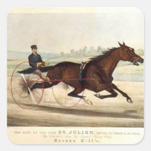 Pegatina Cuadrada El rey del césped, 'St. Julien