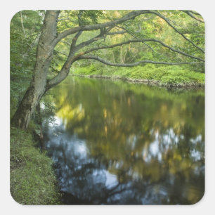 Pegatina Cuadrada El río Taunton en Bridgewater,