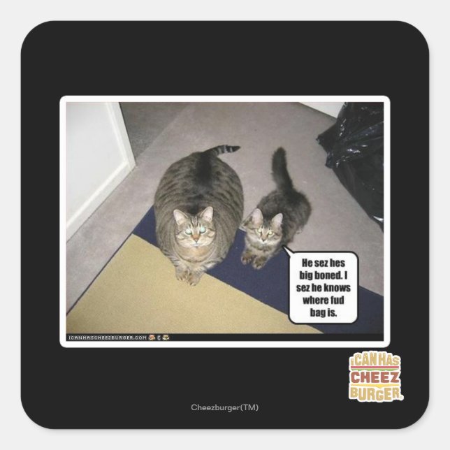 Pegatina Cuadrada Él siente que está muy loco. (Anverso)