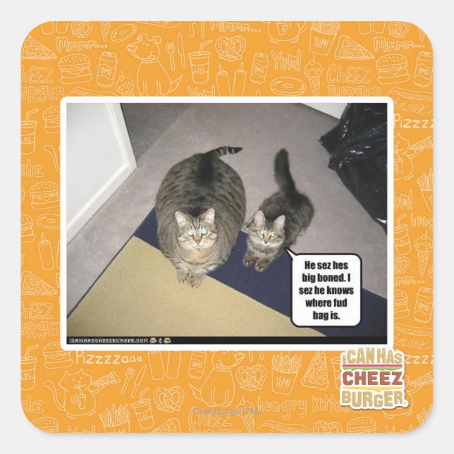 Pegatina Cuadrada Él siente que está muy loco. (Anverso)