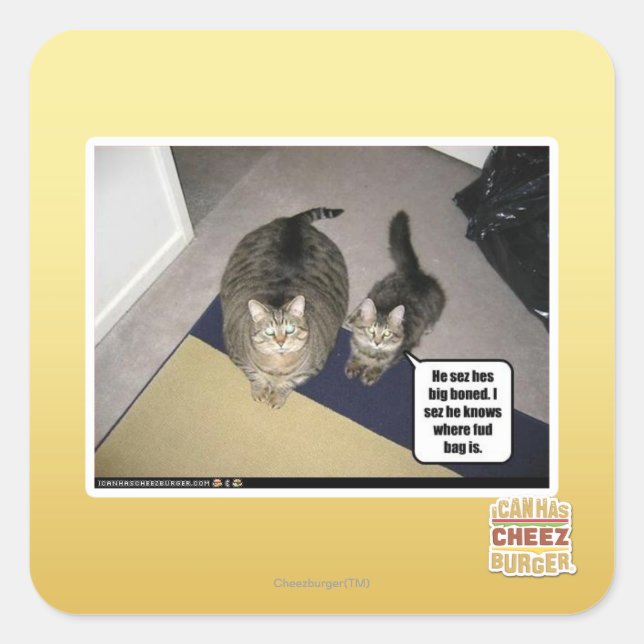 Pegatina Cuadrada Él siente que está muy loco. (Anverso)