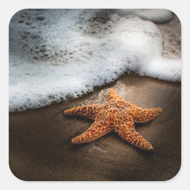 Pegatina Cuadrada El Solo Starfish En La Playa (Anverso)