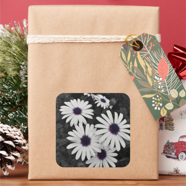 Pegatina Cuadrada El sutil contraste de la naturaleza (Vacaciones)