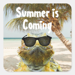 Pegatina Cuadrada El verano está llegando