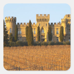 Pegatina Cuadrada El viñedo con vides syrah y el castillo