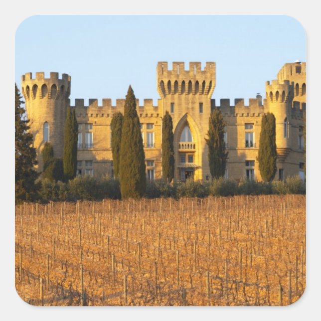Pegatina Cuadrada El viñedo con vides syrah y el castillo (Anverso)