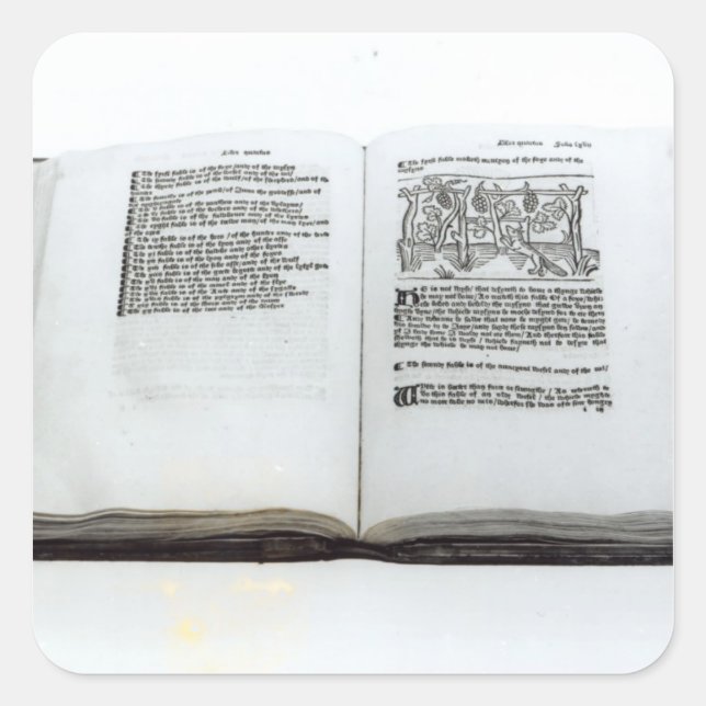 Pegatina Cuadrada El zorro y las uvas (Anverso)