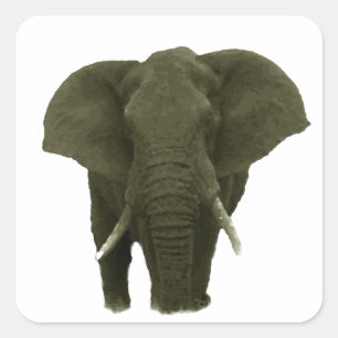 Pegatina Cuadrada Elefante Africano