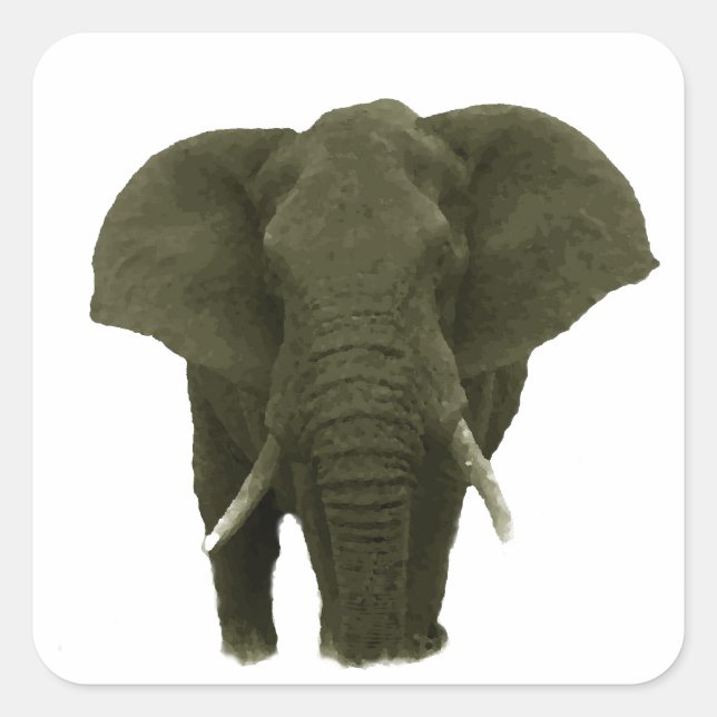 Pegatina Cuadrada Elefante Africano (Anverso)