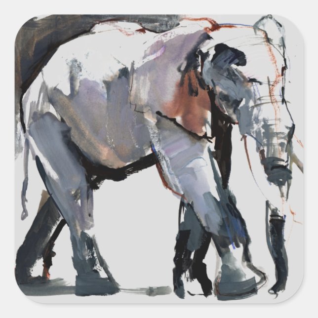 Pegatina Cuadrada Elefante Africano 2012 (Anverso)