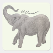 Elefante bebé con texto