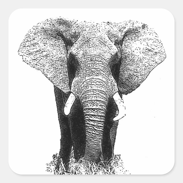 Pegatina Cuadrada Elefante blanco y negro (Anverso)