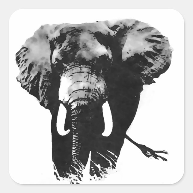Pegatina Cuadrada Elefante caminante (Anverso)