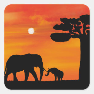 Pegatina Cuadrada elefante, ,cielo ,animales ,amanecer ,naturaleza ,