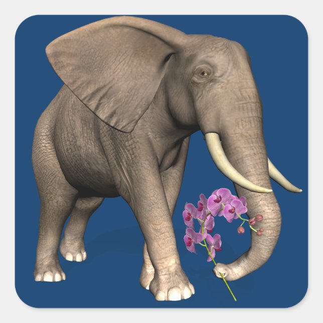 Pegatina Cuadrada Elefante Con Orquídea Rosa (Anverso)
