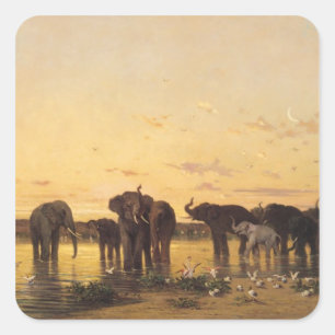 Pegatina Cuadrada Elefantes Africanos