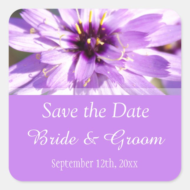Pegatina Cuadrada Elegante flor de margarita bonito púrpura salva la (Anverso)