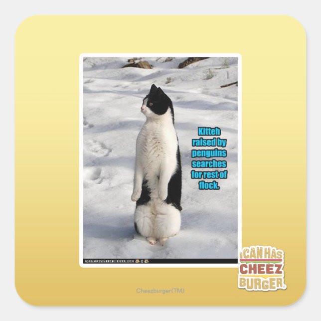 Pegatina Cuadrada Elevado por los pingüinos (Anverso)