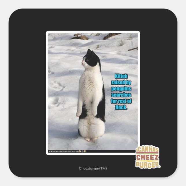 Pegatina Cuadrada Elevado por los pingüinos (Anverso)