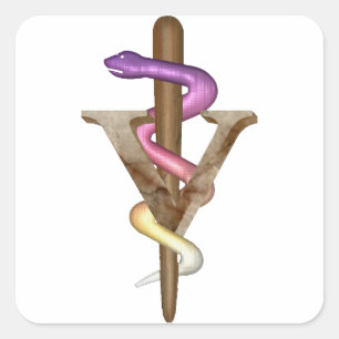 Pegatina Cuadrada Emblema veterinario