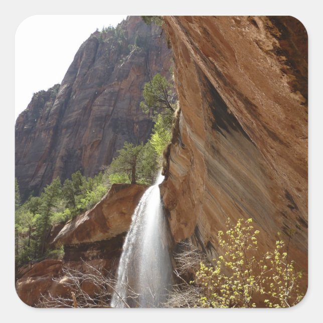 Pegatina Cuadrada Emerald Pool Falls III del Parque Nacional Zion (Anverso)