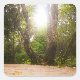 Pegatina Cuadrada En el camino...