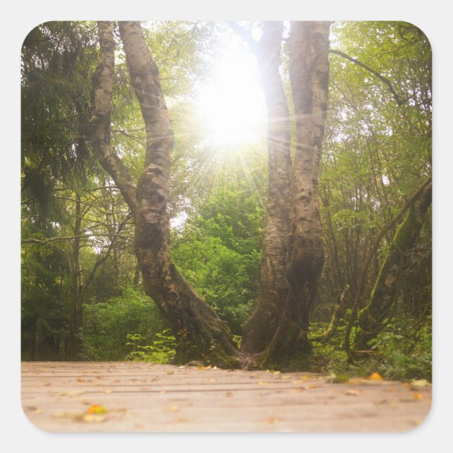 Pegatina Cuadrada En el camino... (Anverso)