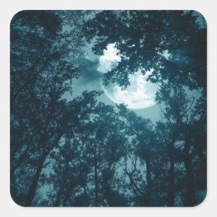 Pegatina Cuadrada Encantador bosque nocturno con luna llena