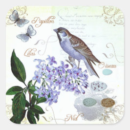 Pegatina Cuadrada Encantador Collage floral de texto de aves antigua