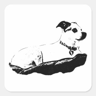 Pegatina Cuadrada Encaramado y observador