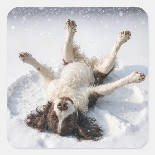 Pegatina Cuadrada English Springer Spaniel Making a Snow Angel (Anverso)