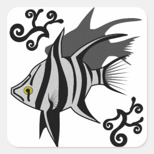 Pegatina Cuadrada Enoplosus viejas esposas, peces blancos con franja