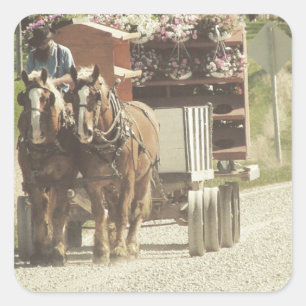 Pegatina Cuadrada Entrega de flores Amish