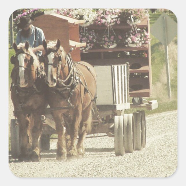 Pegatina Cuadrada Entrega de flores Amish (Anverso)
