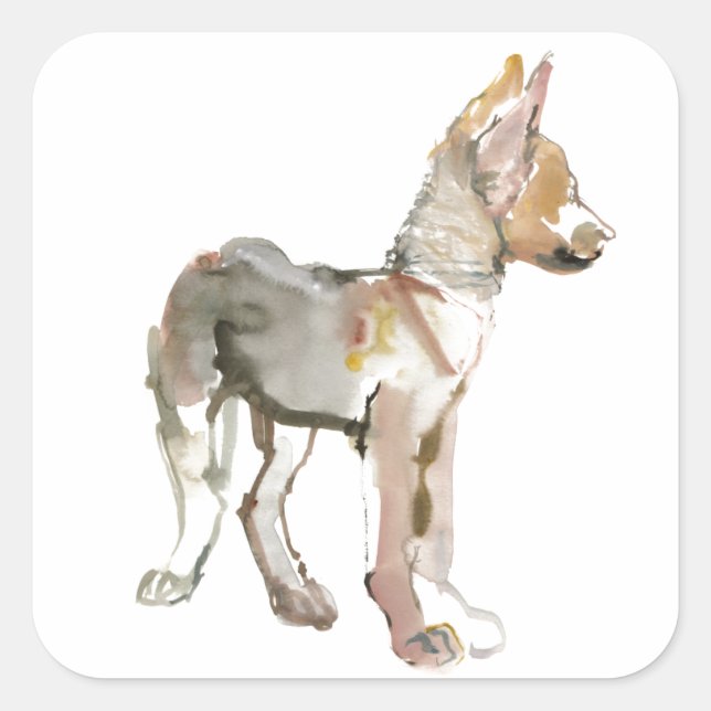 Pegatina Cuadrada Equipamiento (Anverso)