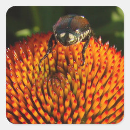 Pegatina Cuadrada Error en la flor