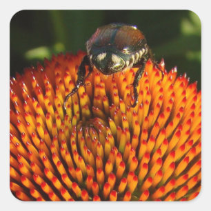 Pegatina Cuadrada Error en la flor