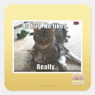 Pegatina Cuadrada Es el abrazo. Él tiene gusto