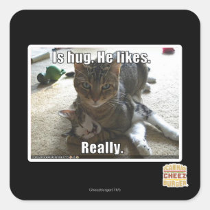 Pegatina Cuadrada Es el abrazo. Él tiene gusto