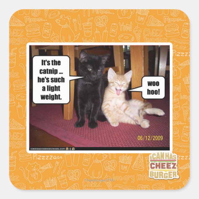 Pegatina Cuadrada Es el catnip (Anverso)
