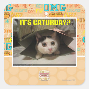 Pegatina Cuadrada ¿Es sábado?